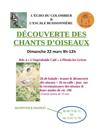 Chants d'oiseaux